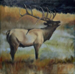 Bublling Elk - Yellowstone National Park - Private Collection