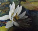 Edwards Withering Waterlily 150x122