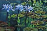 EdwardsBarbara waterlilies Three 24x36 Acrylic on canvas 2 150x101