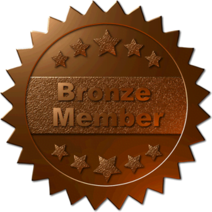 Bronze Sponsor Bronze