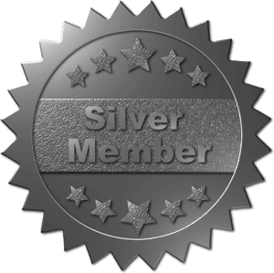 Silver Sponsor Silver
